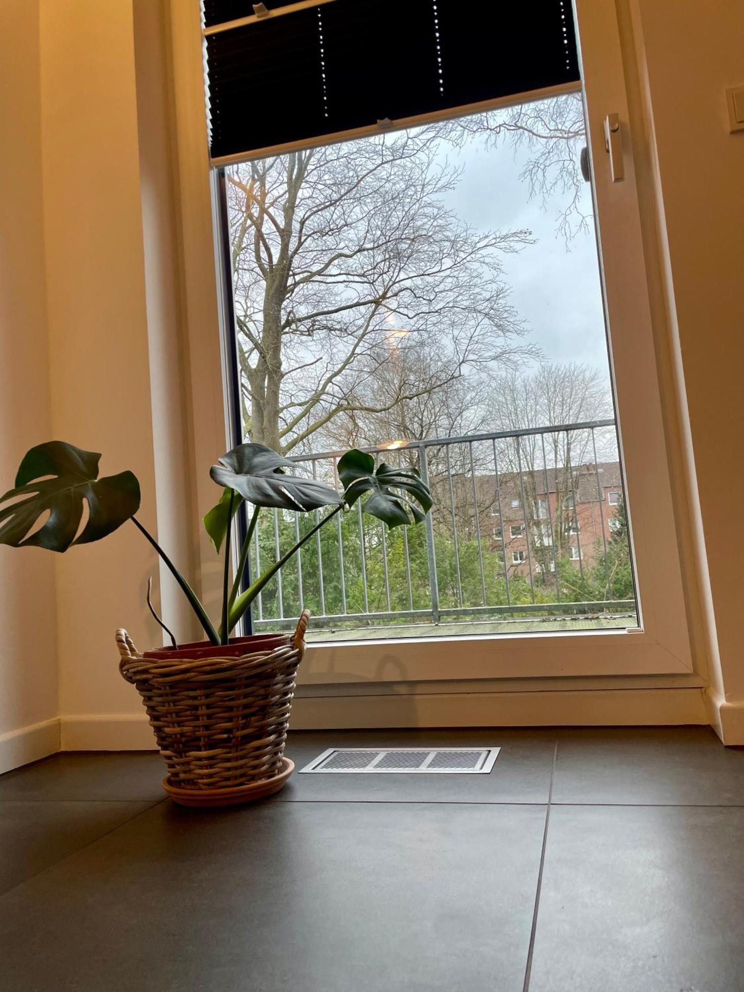 Modernes Holzhaus Im Skandinavischen Stil Mit Sauna, Garten Und 2 Katzen Norderstedt Zewnętrze zdjęcie